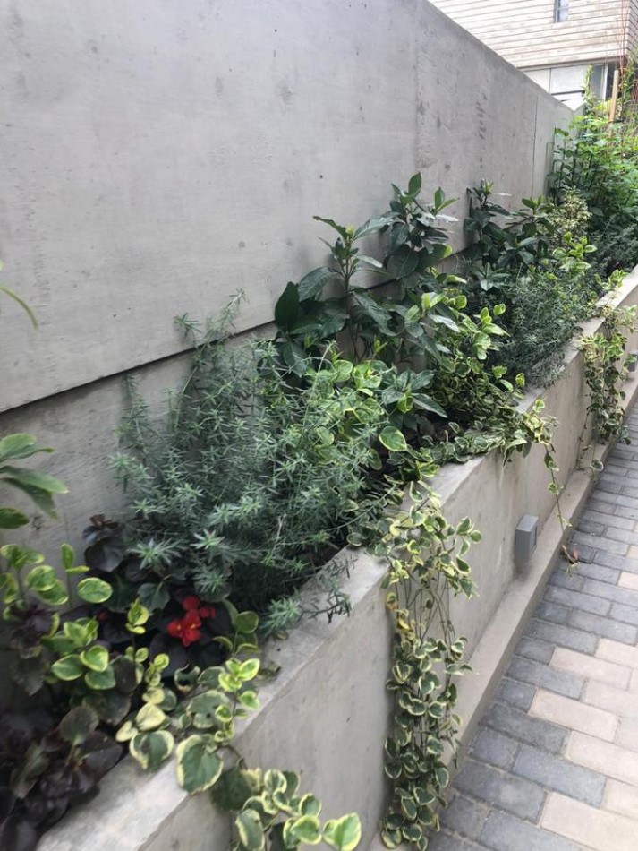 DEPARTAMENTO DE 2 DORMITORIOS EN RICCHIERI & TUCUMAN CON COCHERA INCLUIDA - Complejo Pichincha -