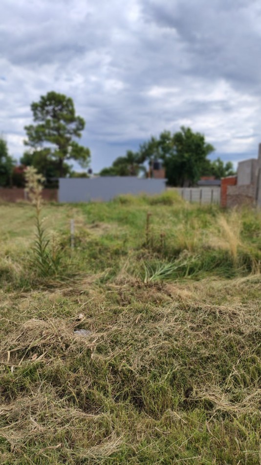 VENTA FUNES LOTE ESQUINA APTO COMERCIO SOBRE PAVIMENTO G17