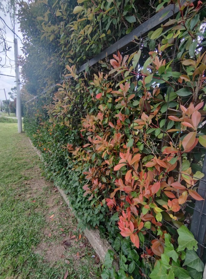 FUNES VENDE - Casa apta credito / zona barrios vida