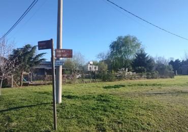 OPORTUNIDAD  TERRENO EN venta en   DON HECTOR -IBARLUCEA-